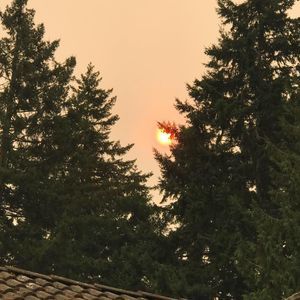 Meet your Posher, Leticia